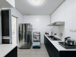 Blk 1E The Pinnacle@Duxton (Bukit Merah), HDB 4 Rooms #583990751